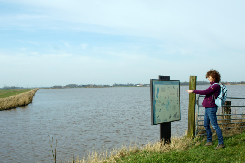 Hondshalstermeer