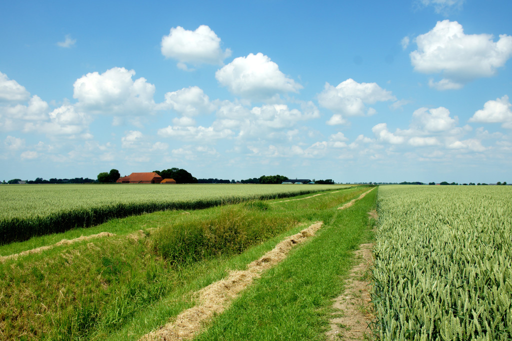 Kroonpolder