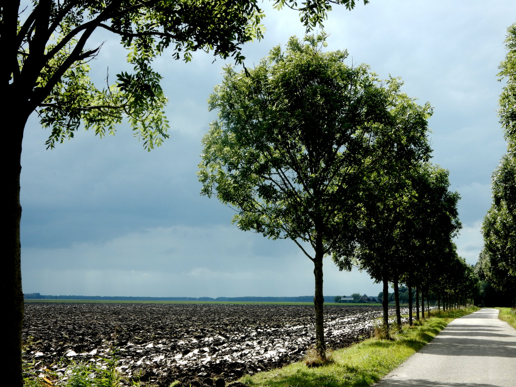 Finsterwolderhamrikpolder