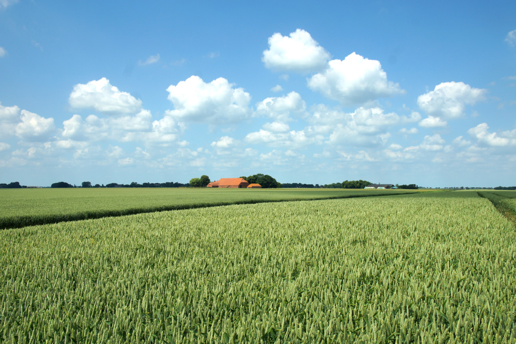 Kroonpolder